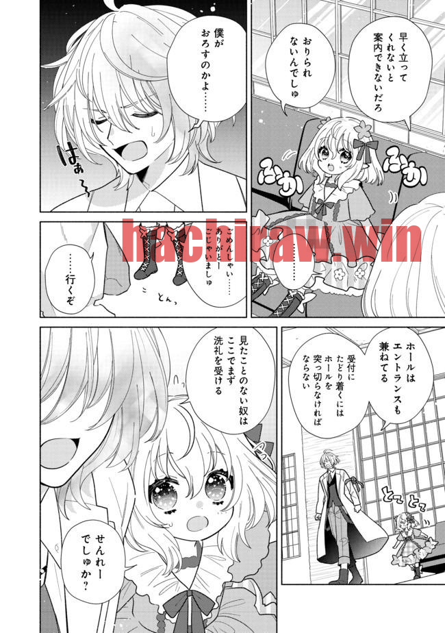 img 11