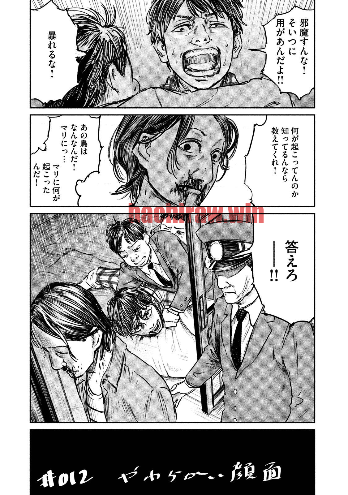 img 10