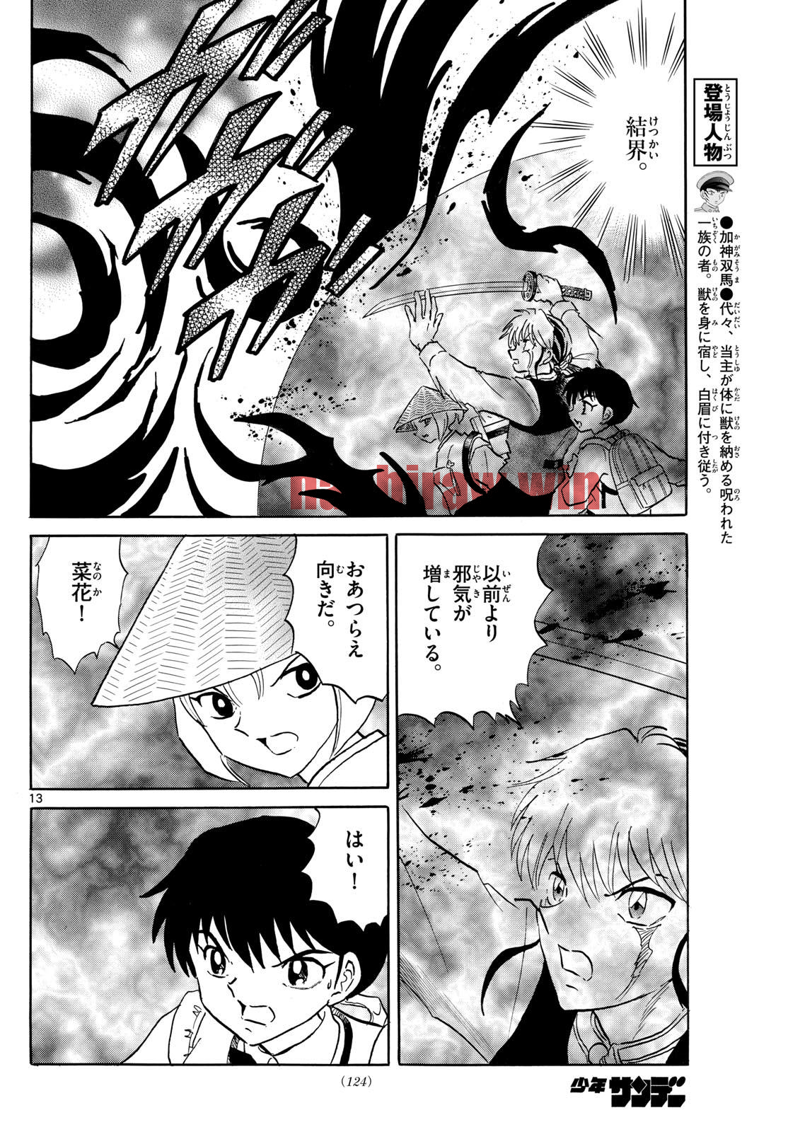 img 13