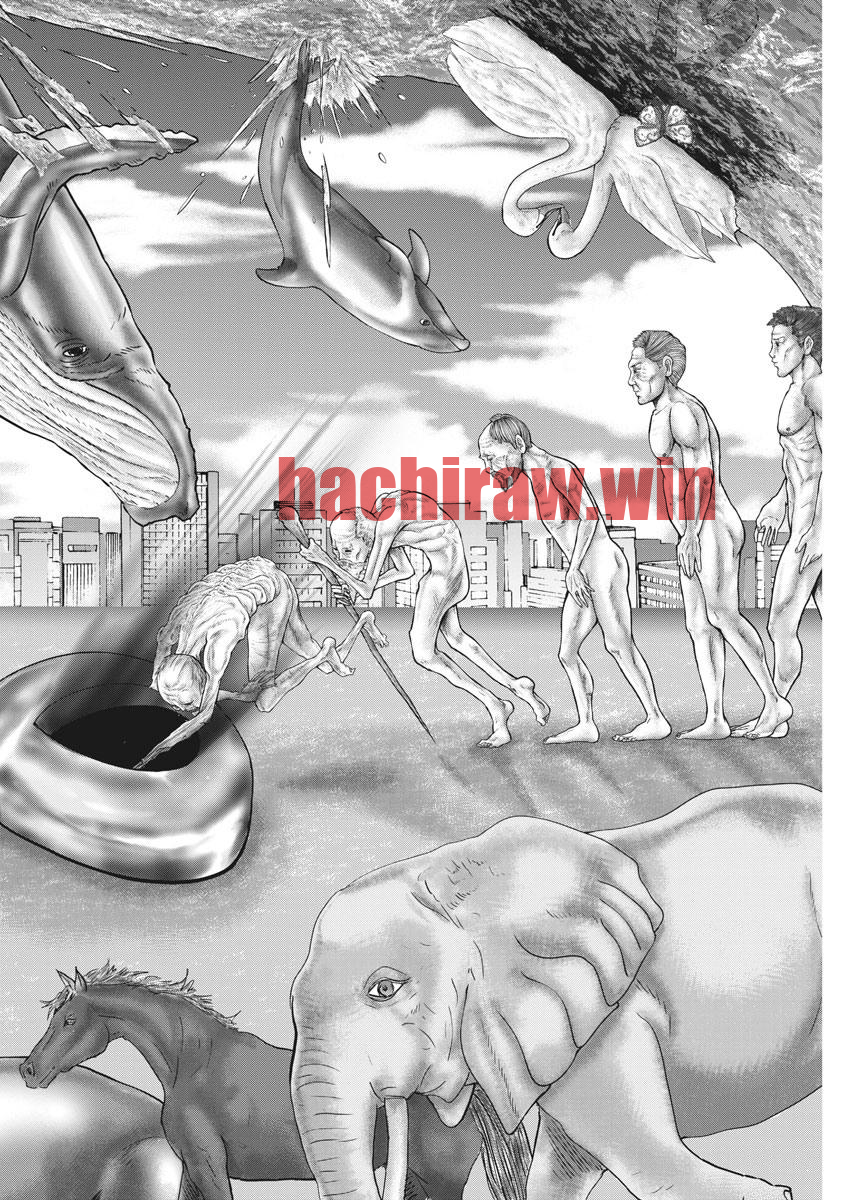 img 9