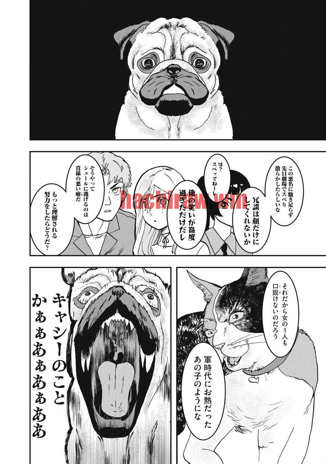 img 8
