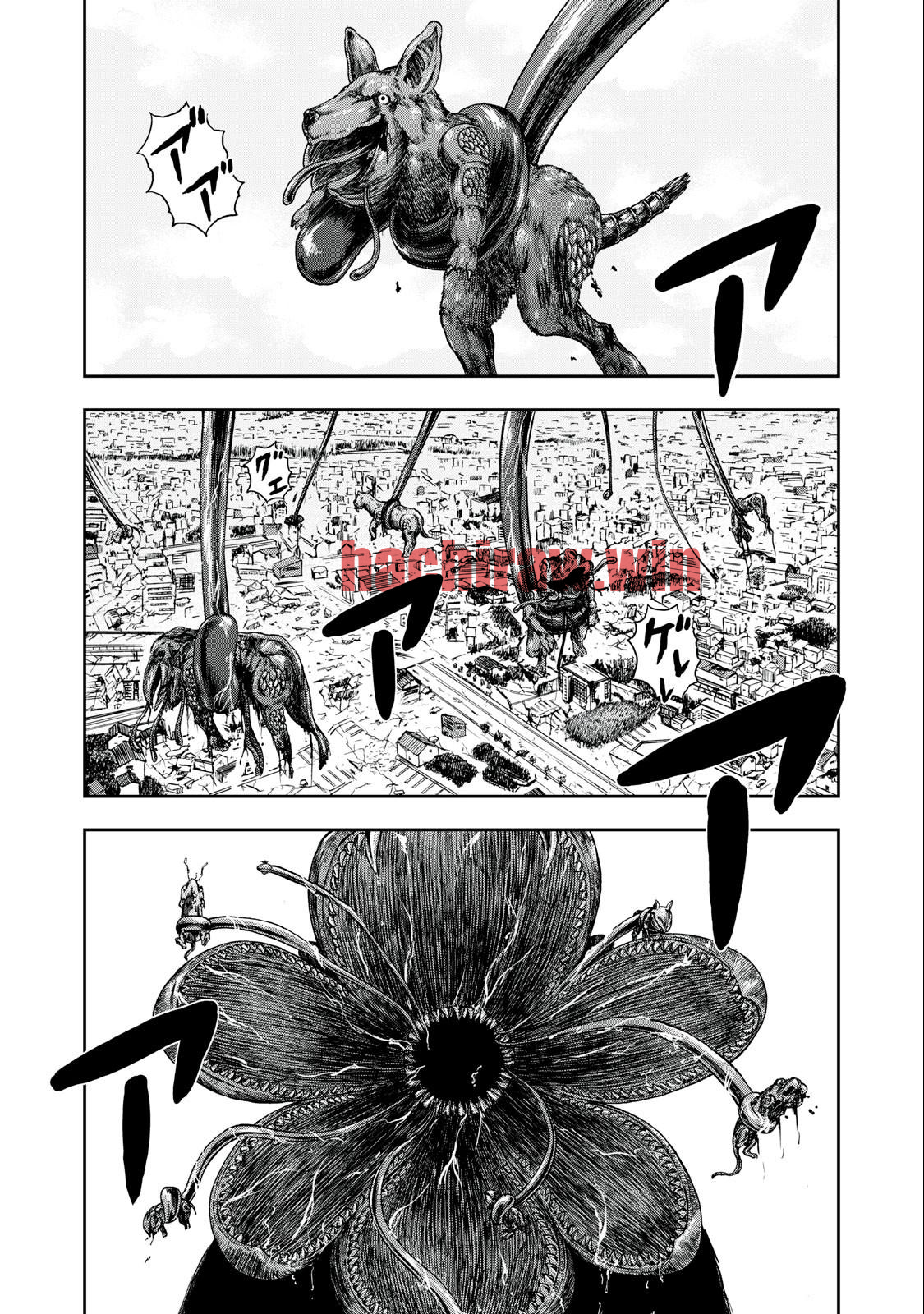 img 0