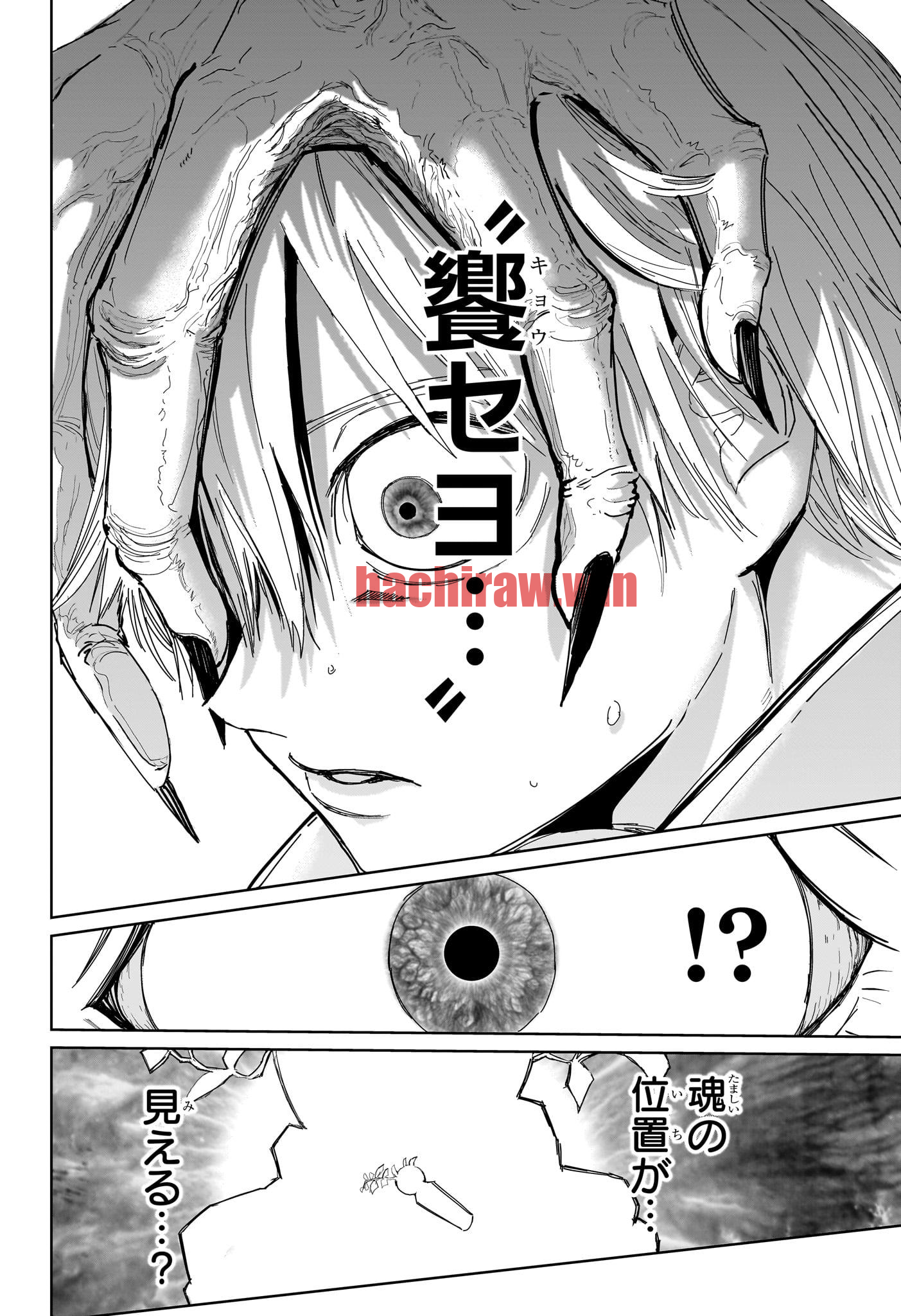 img 17