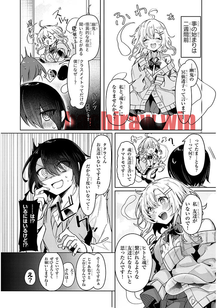 img 4