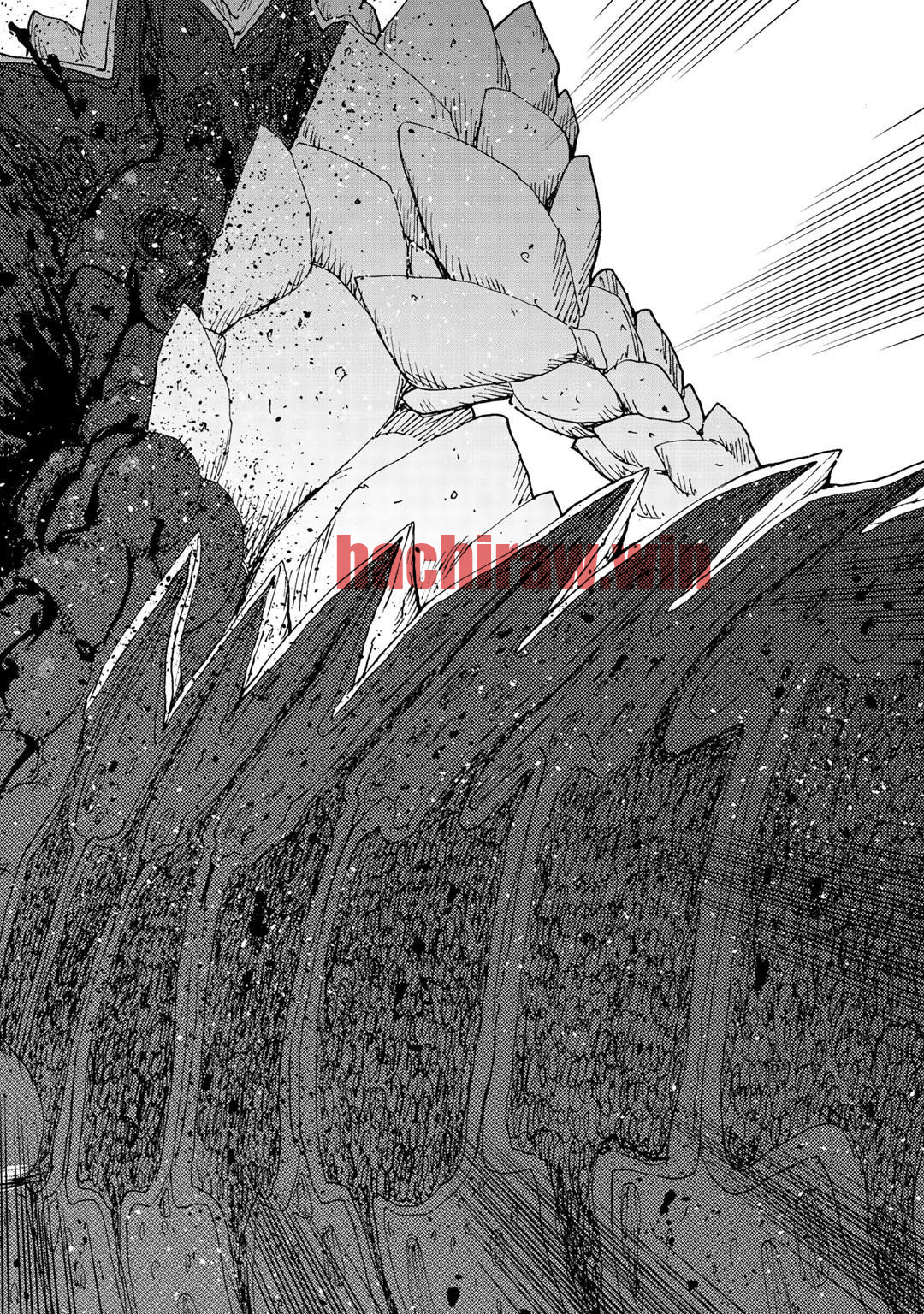 img 29