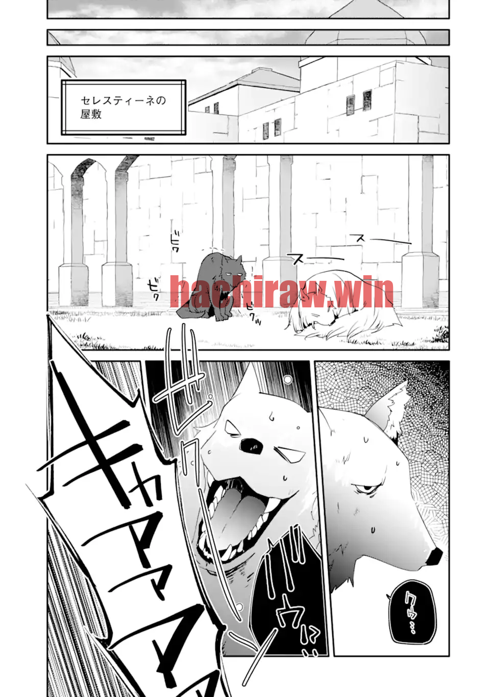 img 5