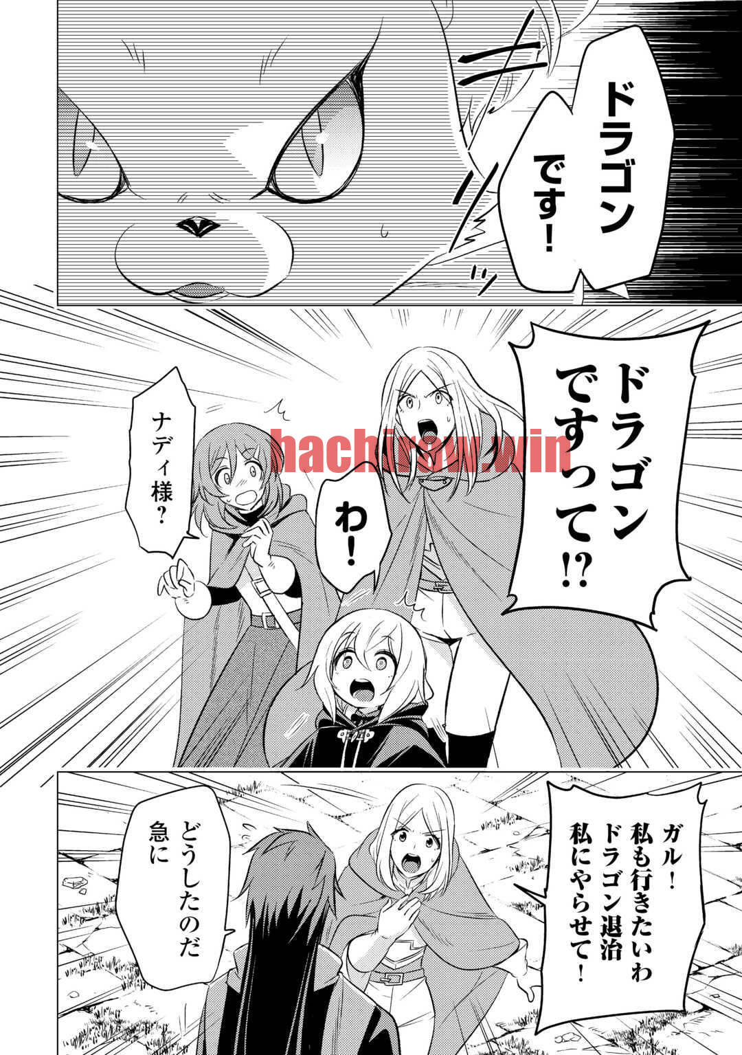 img 21