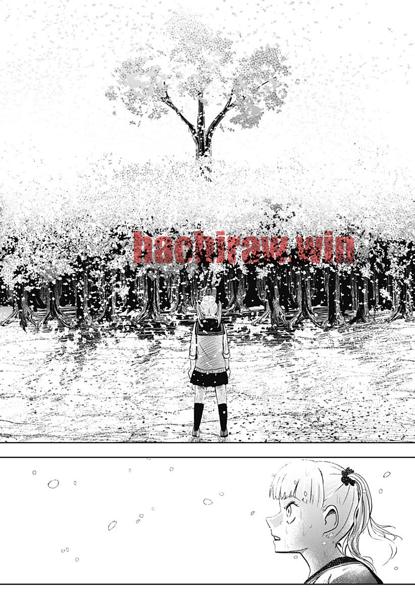 img 17