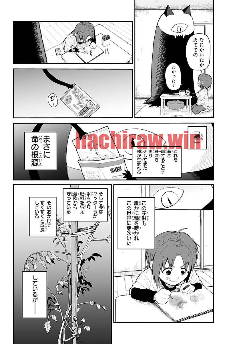 img 19