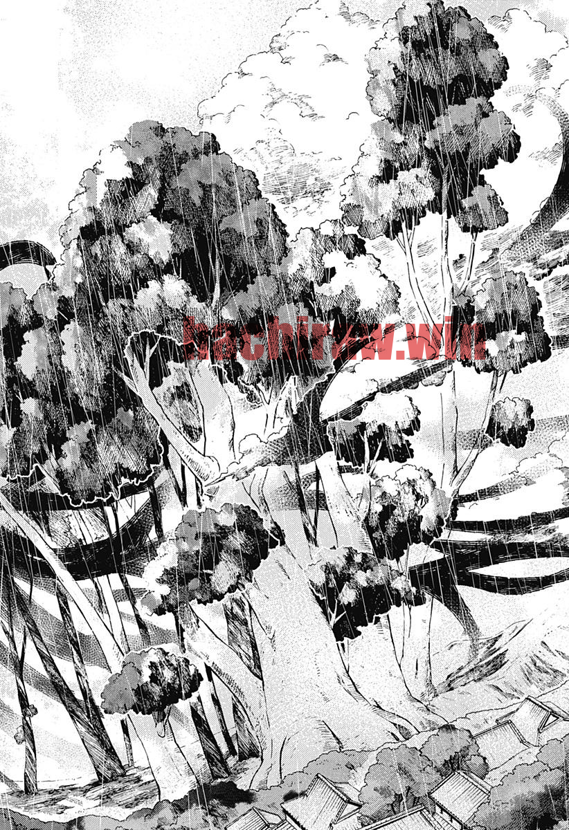 img 21