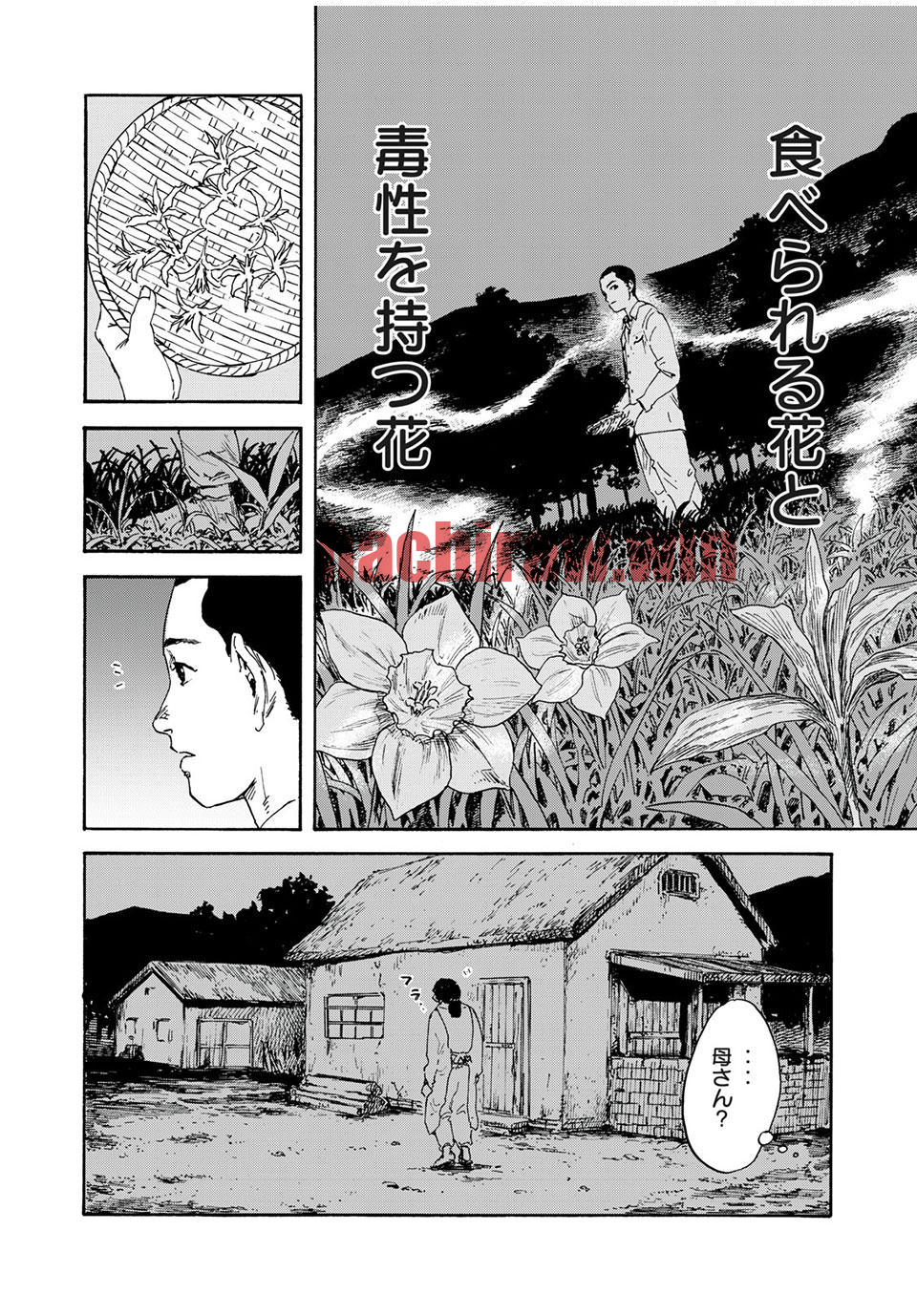 img 27