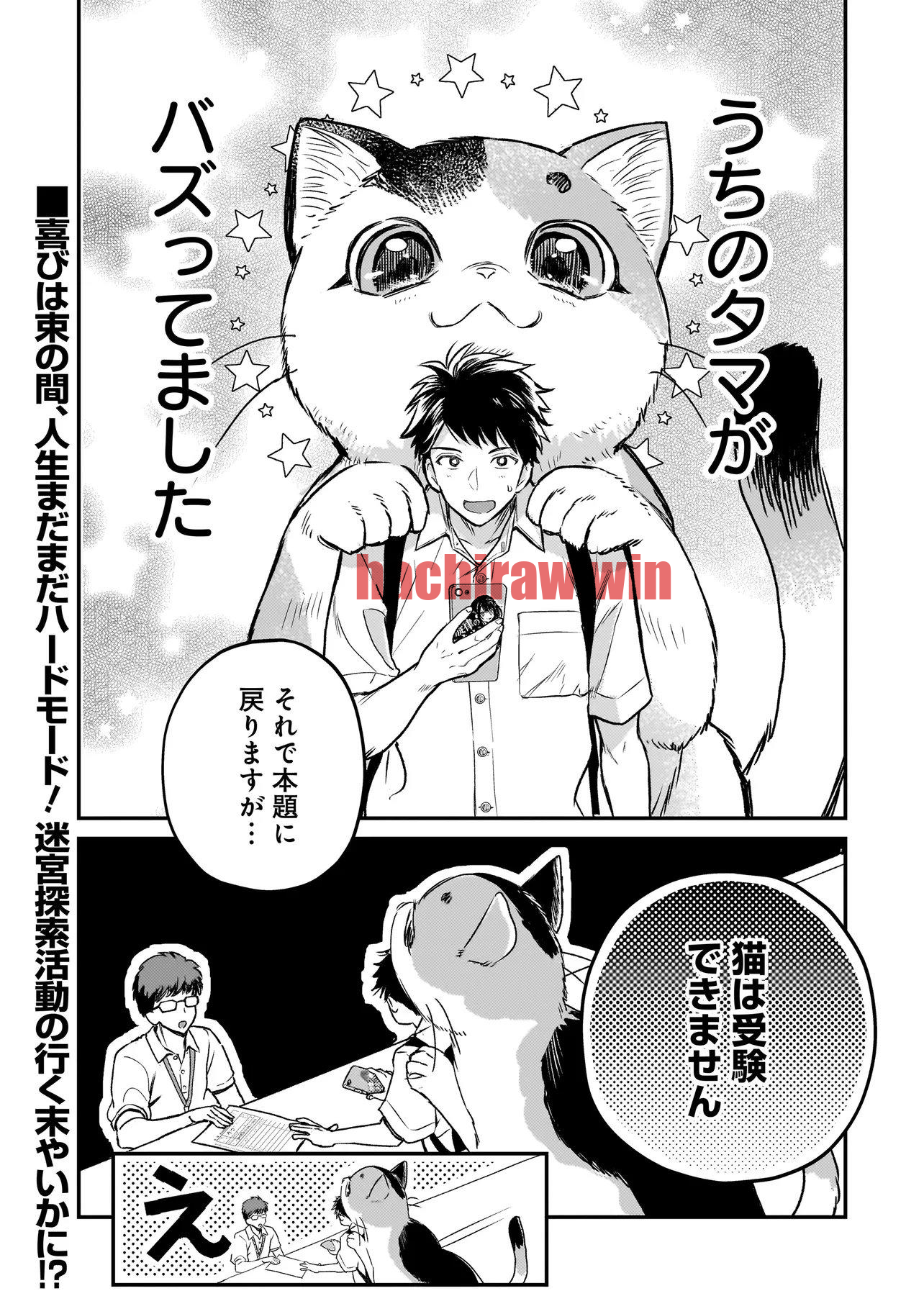 img 13
