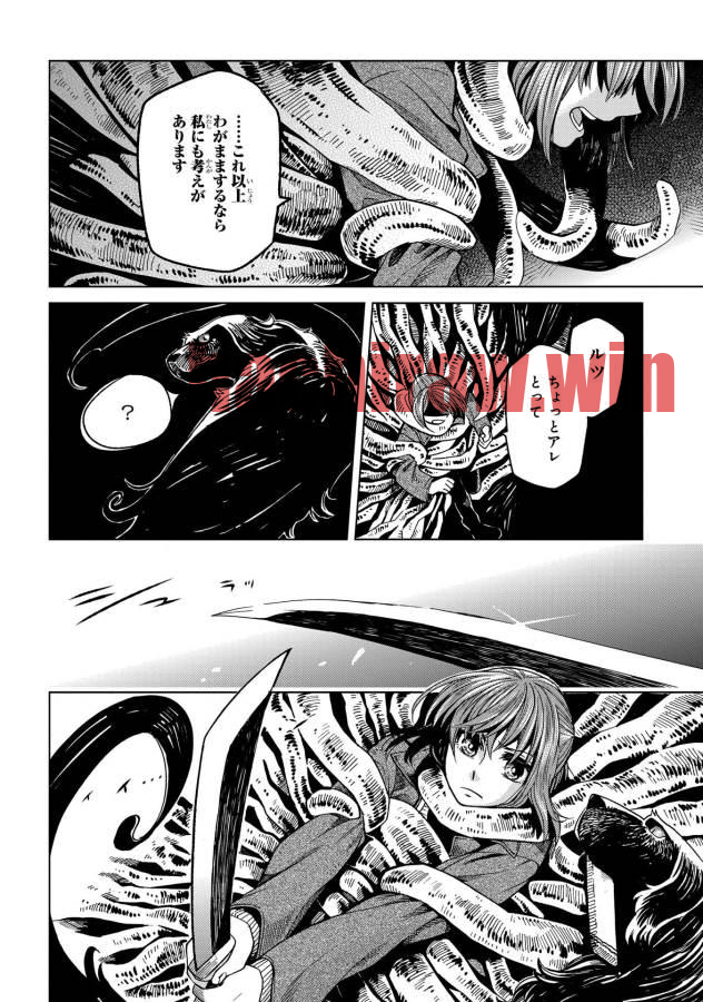 img 19