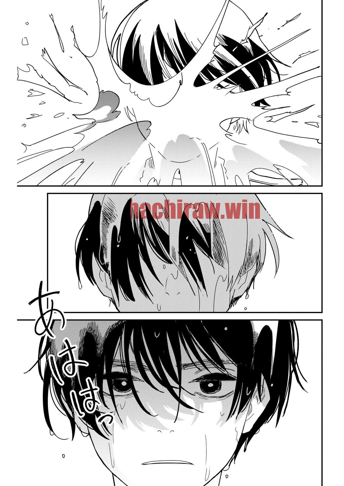 img 28