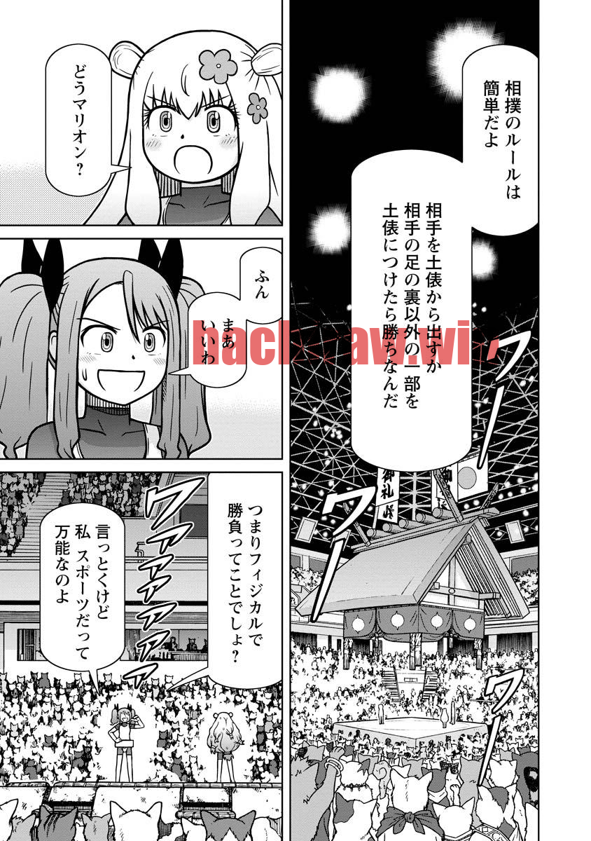 img 12