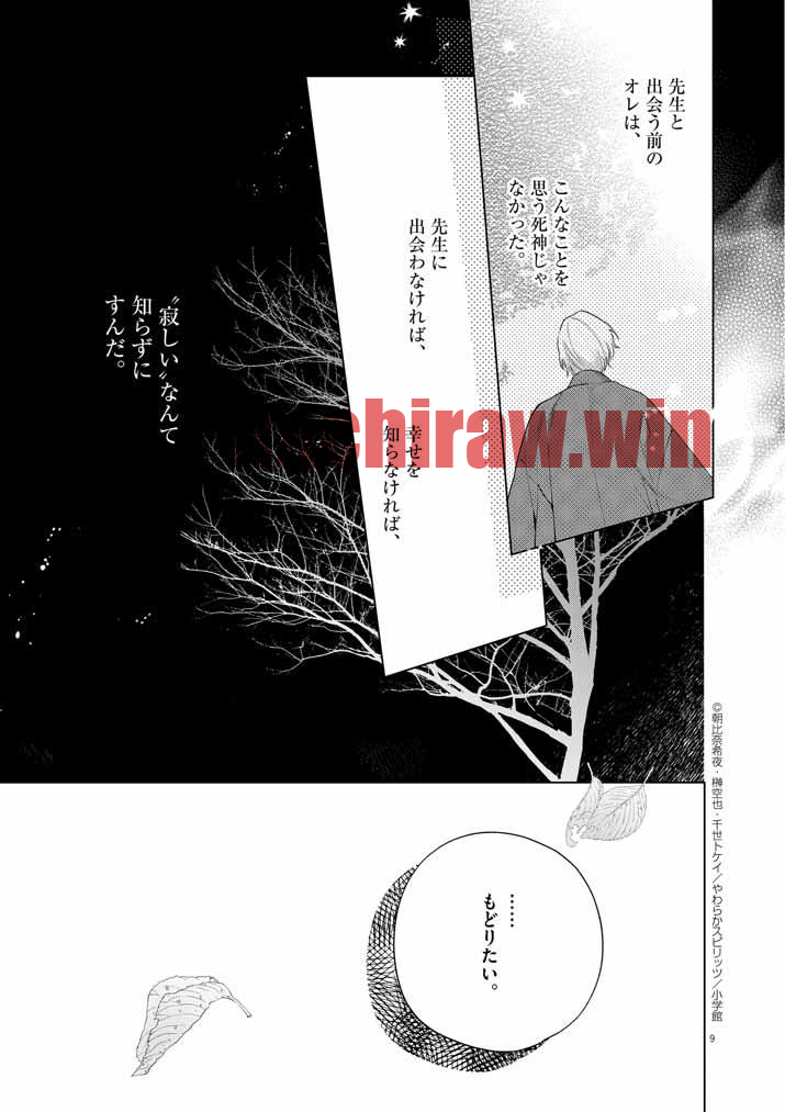 img 8