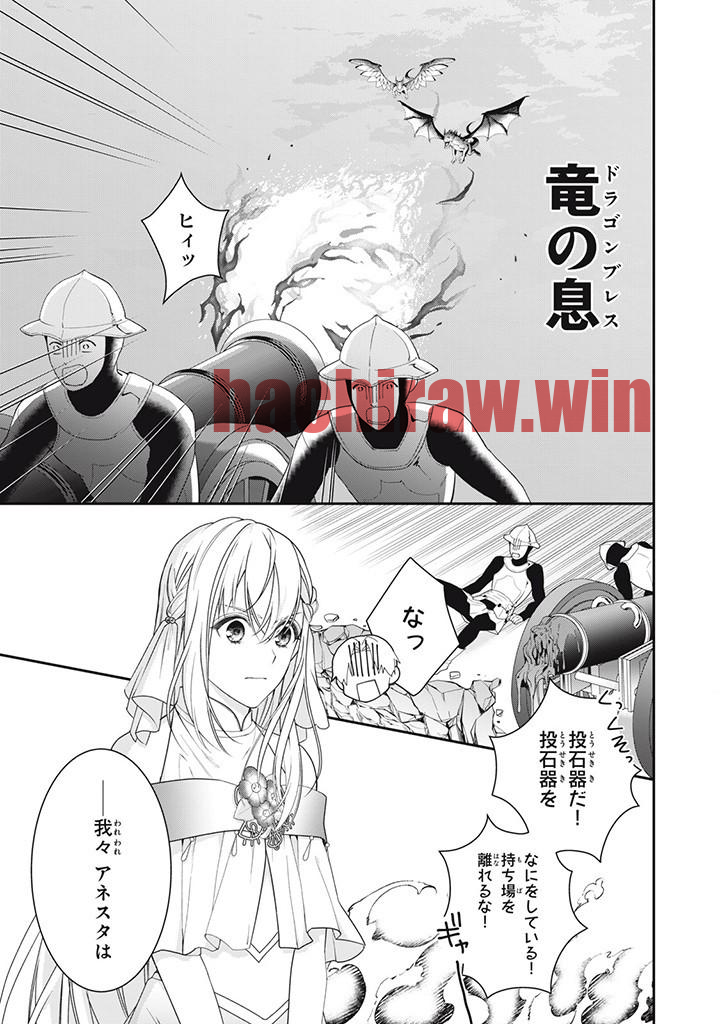 img 8