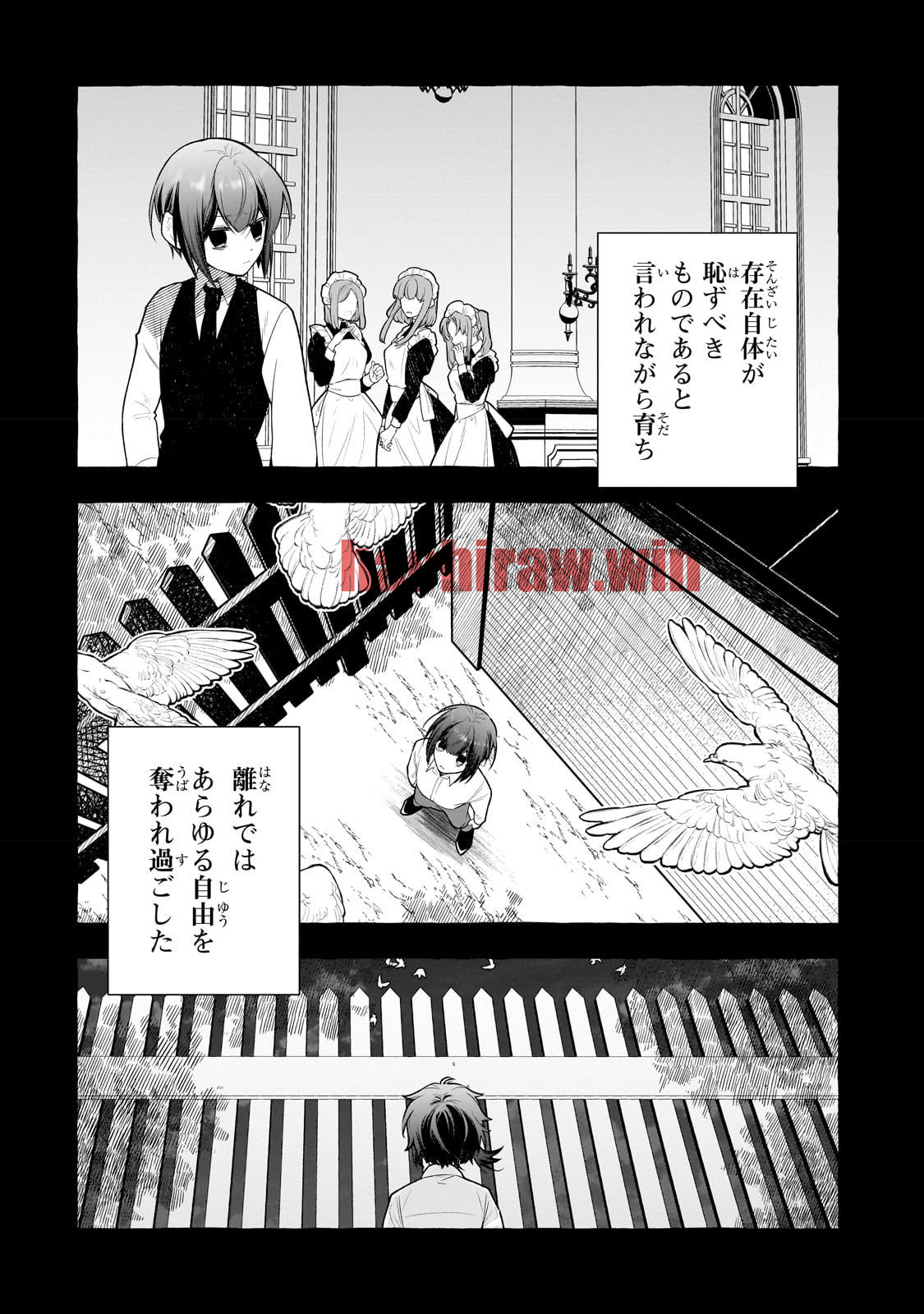 img 16