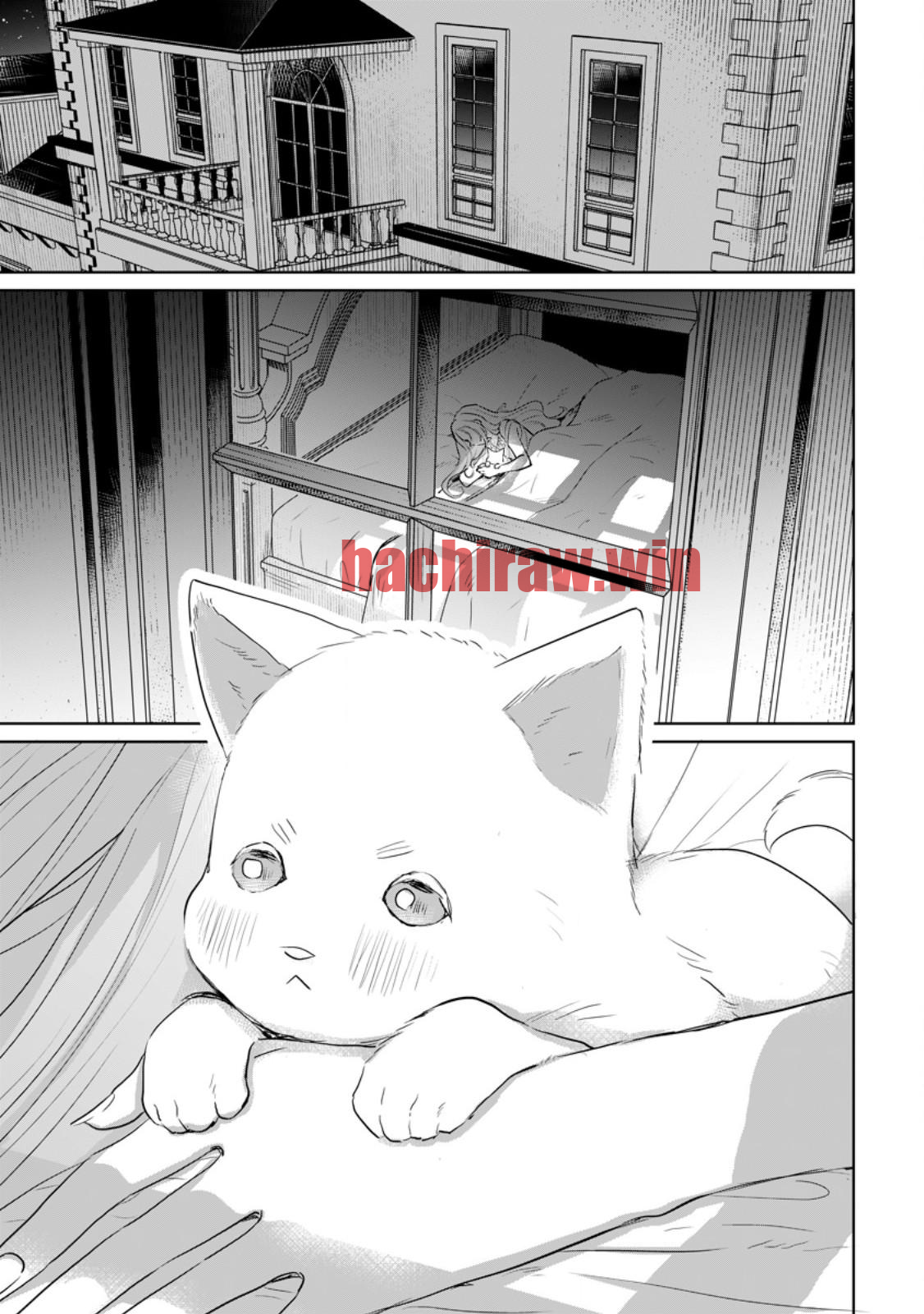 img 0