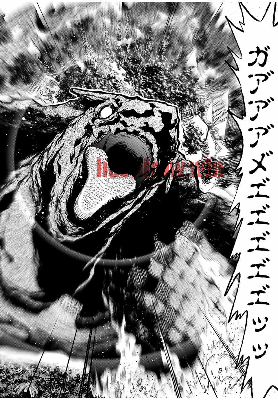 img 3
