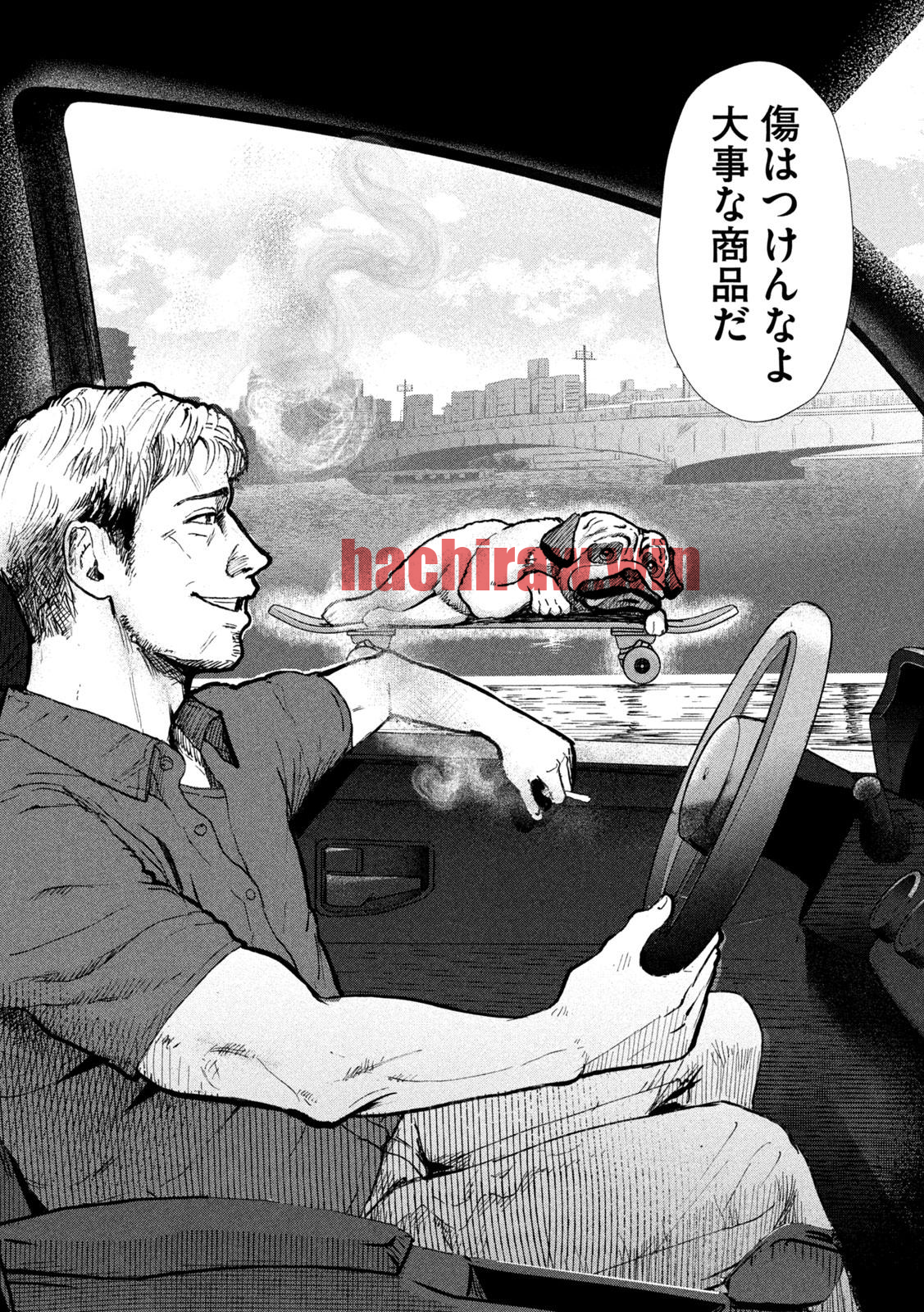 img 13