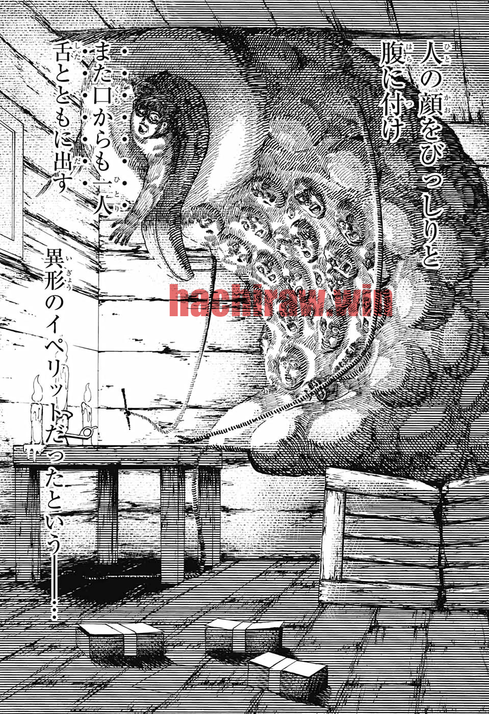 img 20