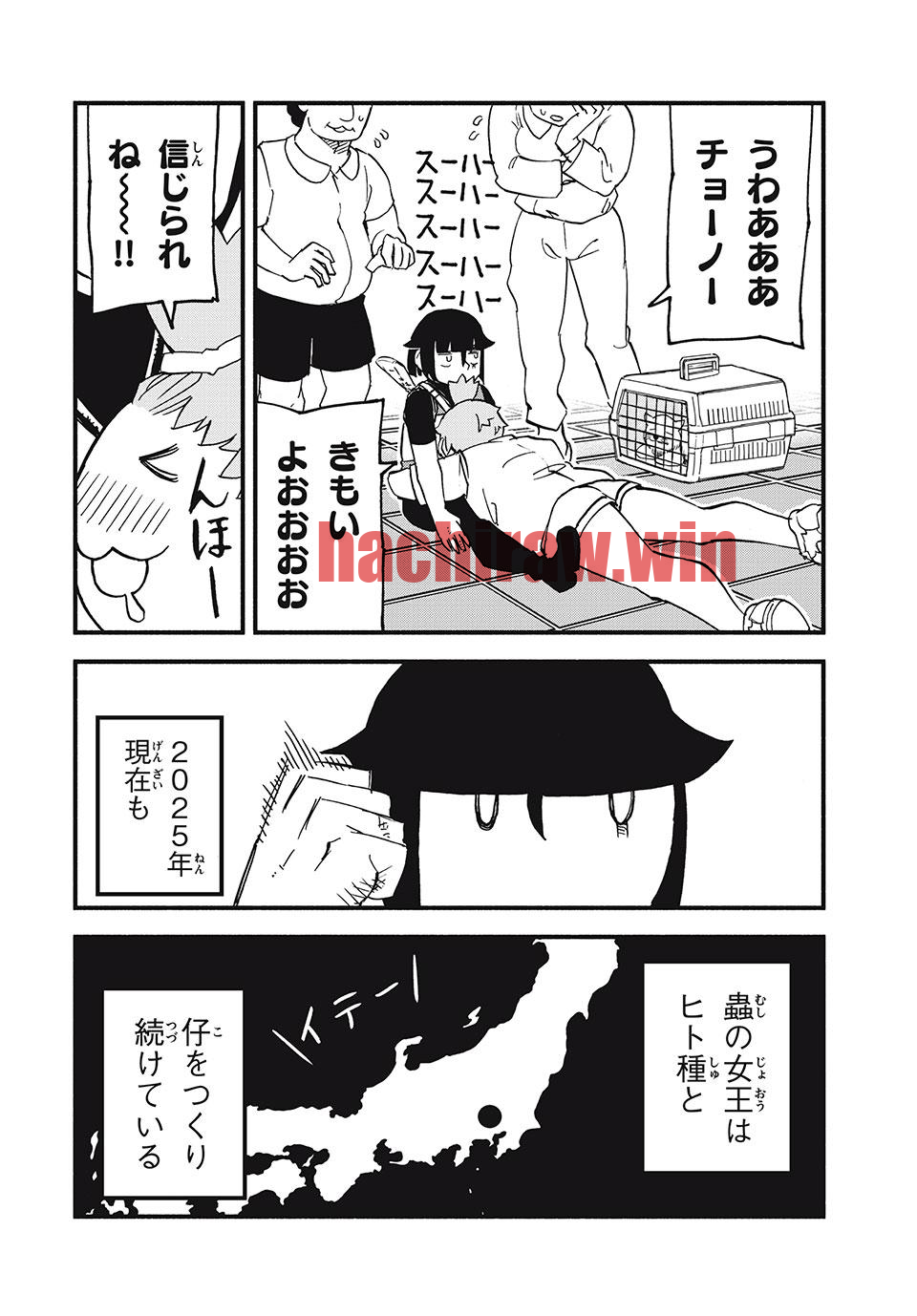 img 21