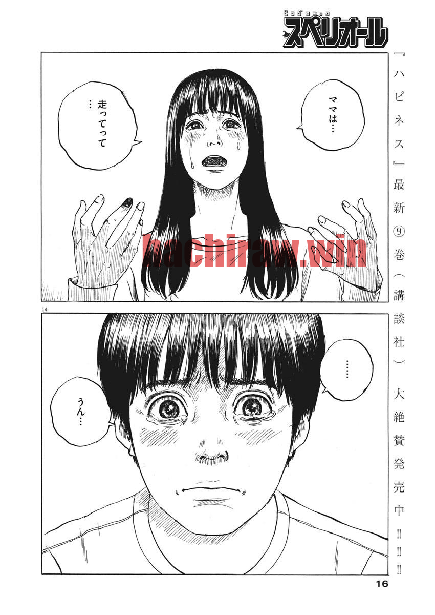 img 13