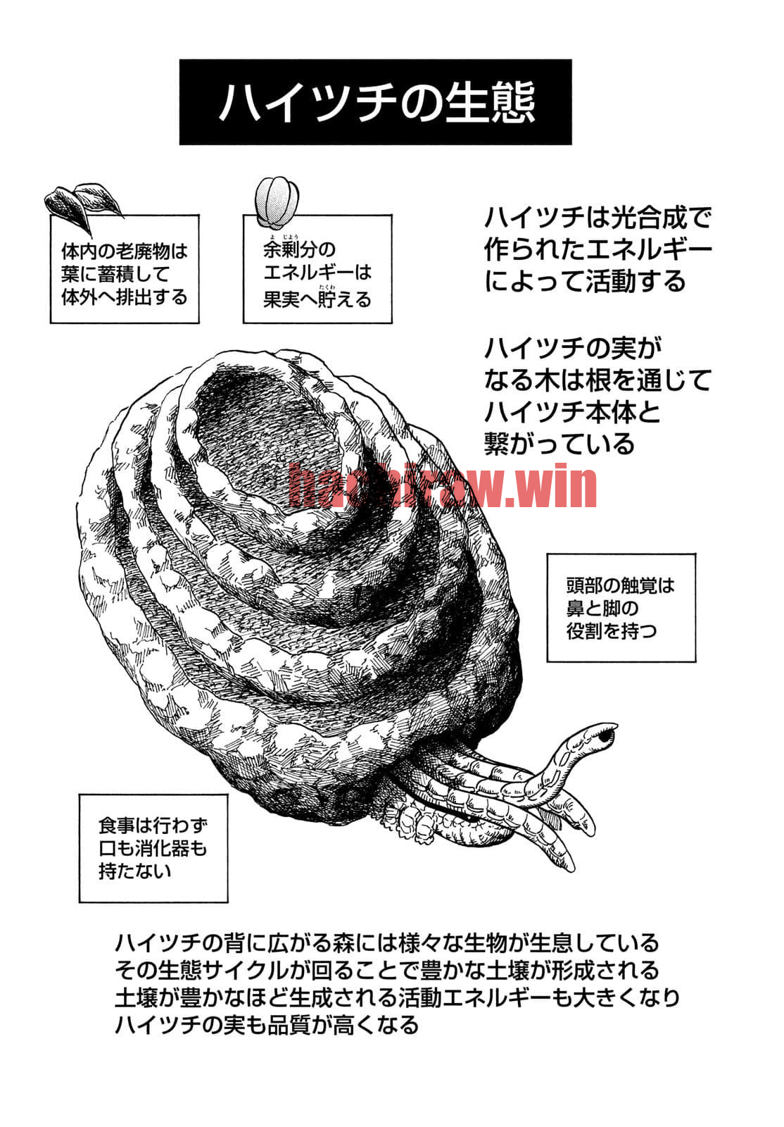 img 2