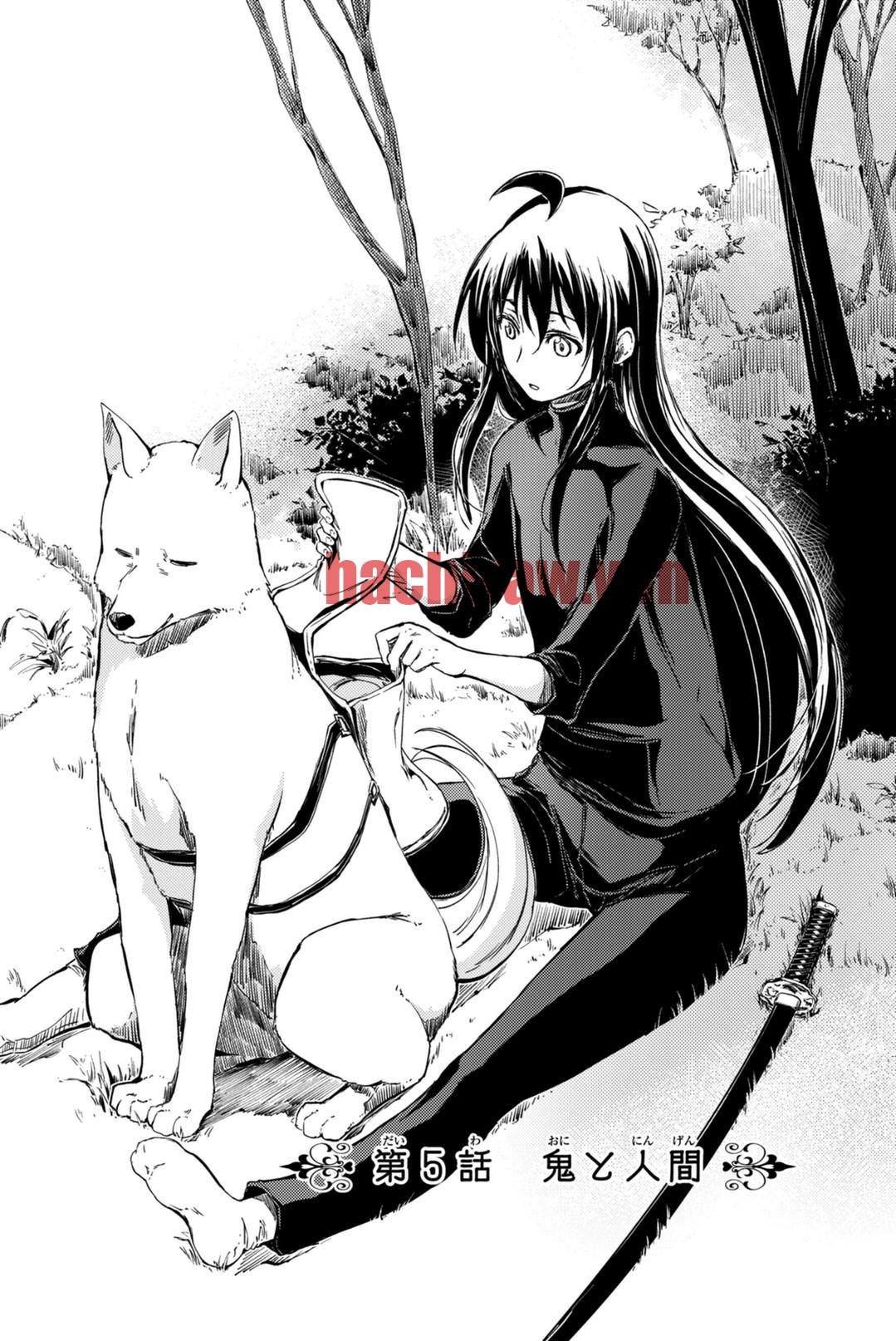img 5