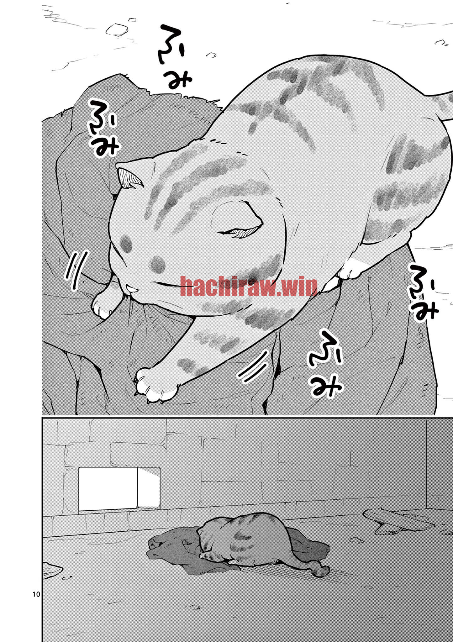 img 9