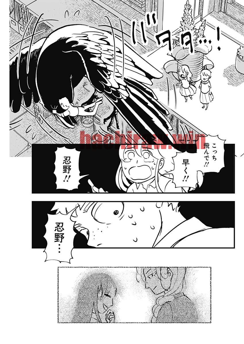 img 12