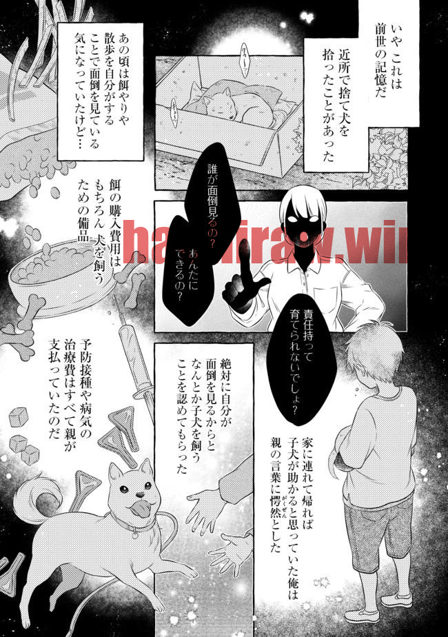 img 4