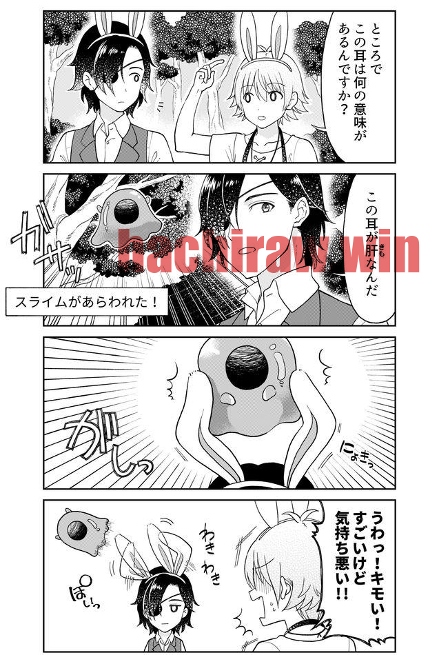 img 4