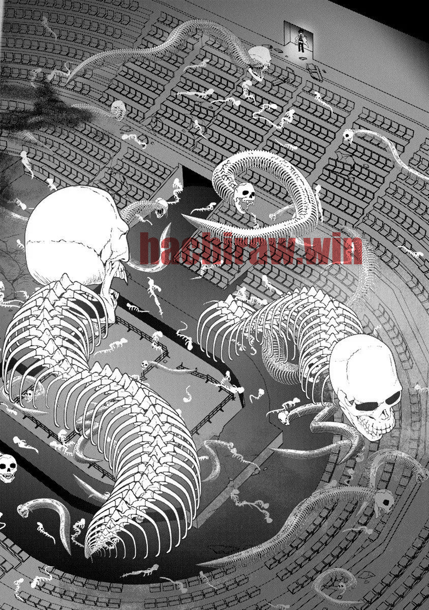 img 13