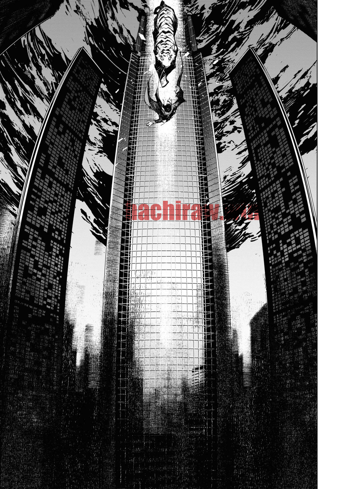 img 16