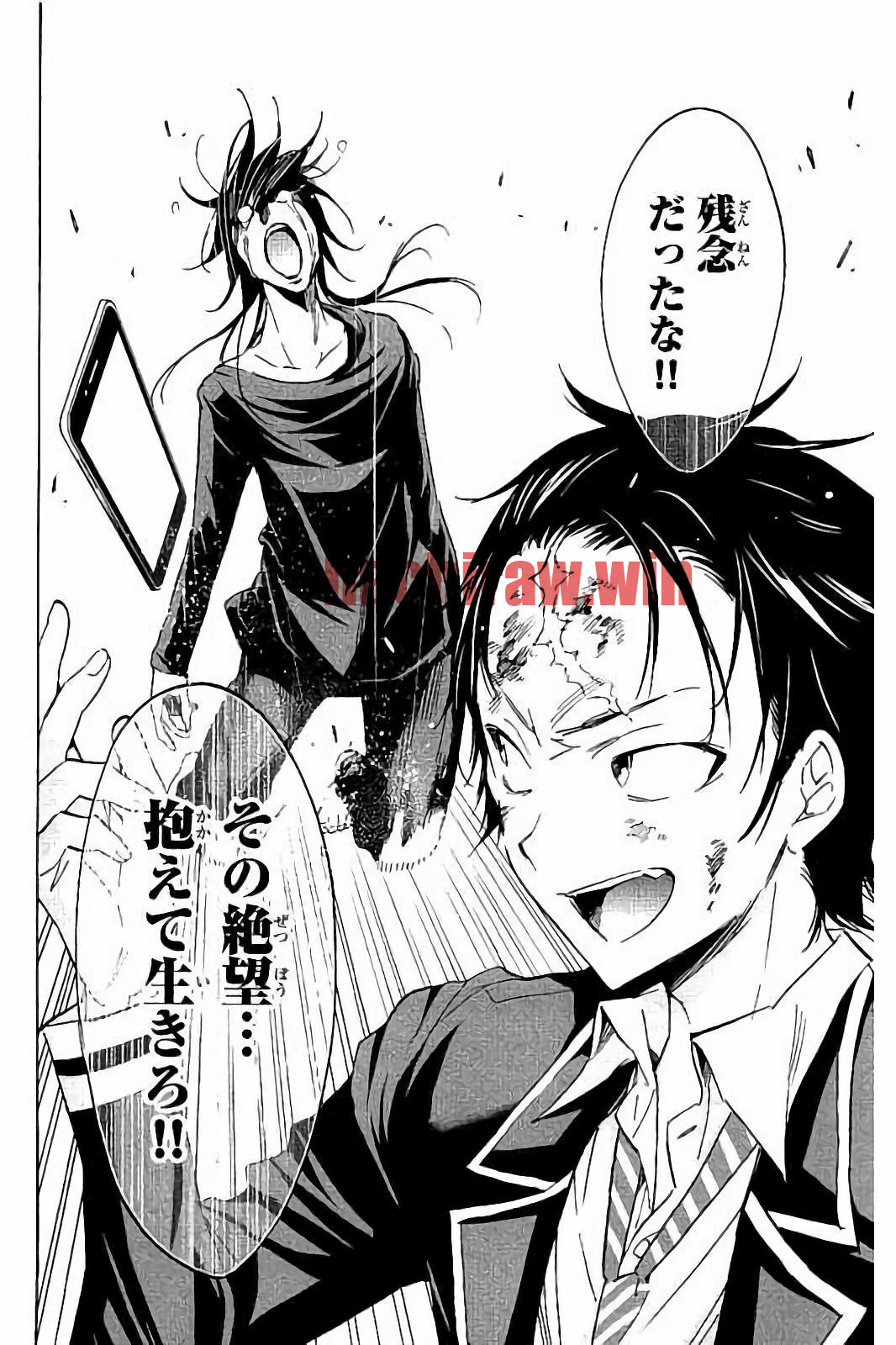 img 19
