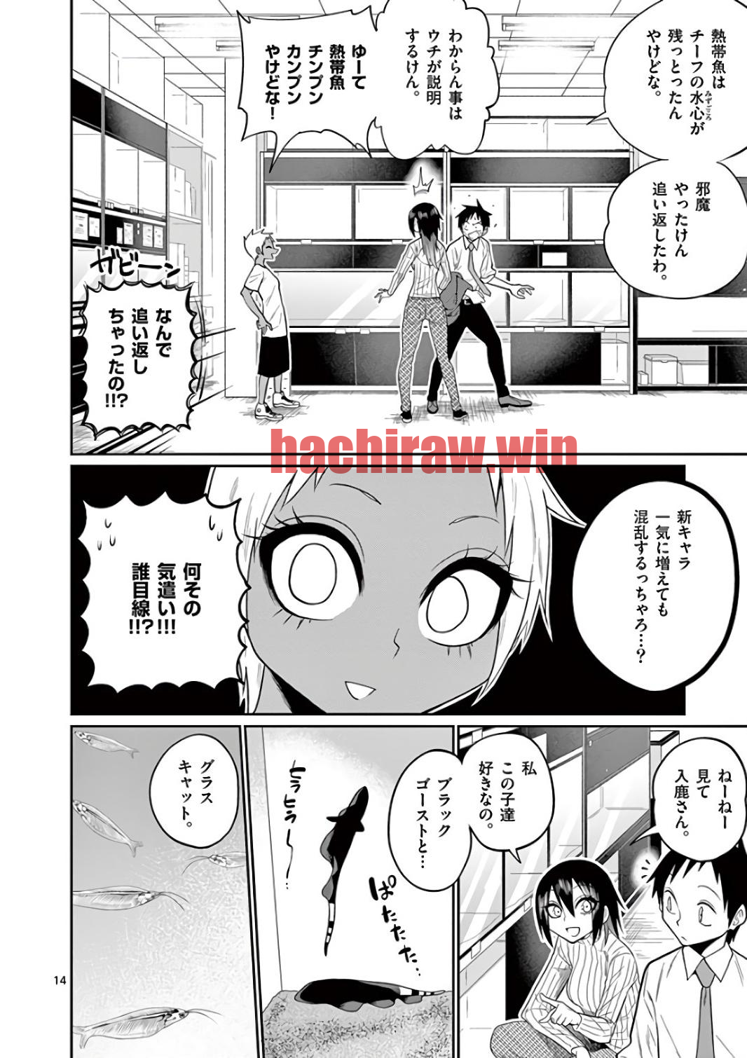 img 13