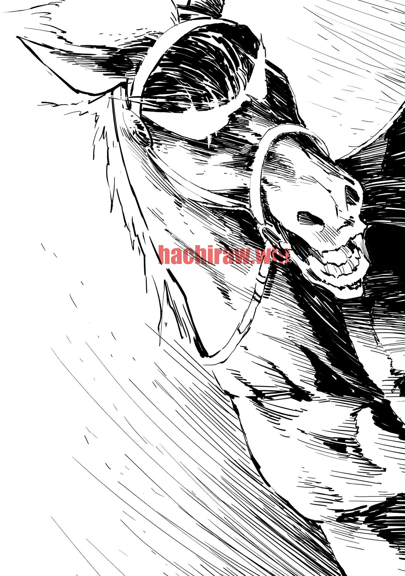 img 29