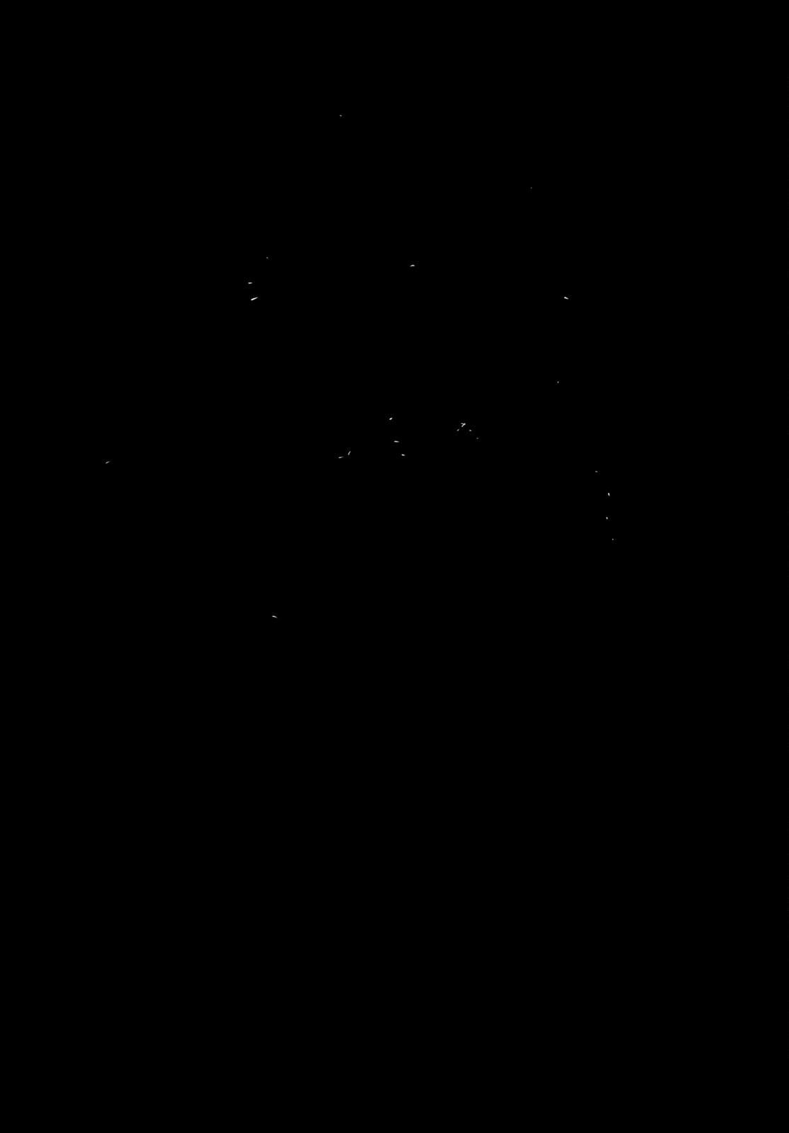 img 33