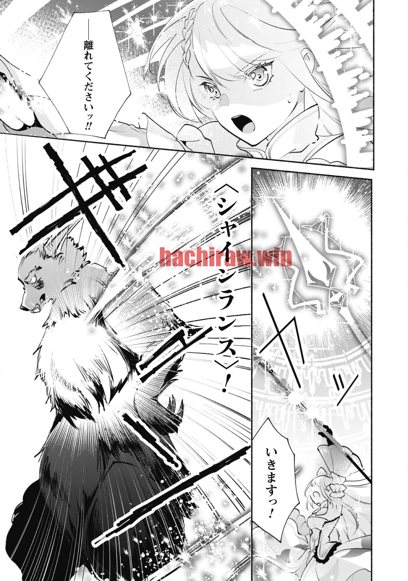 img 21