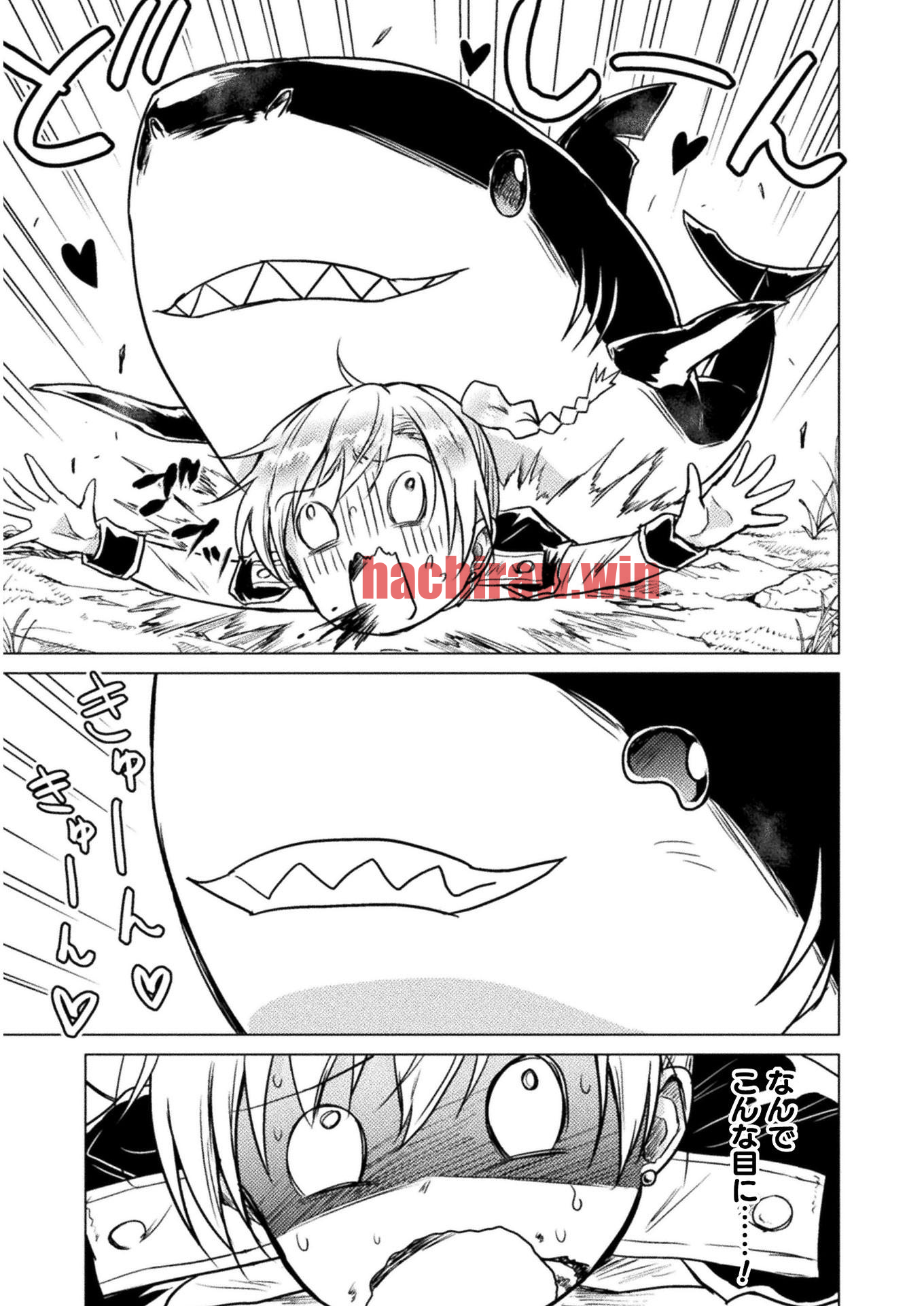 img 4