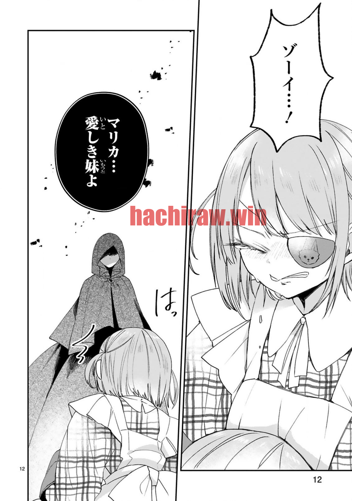 img 13