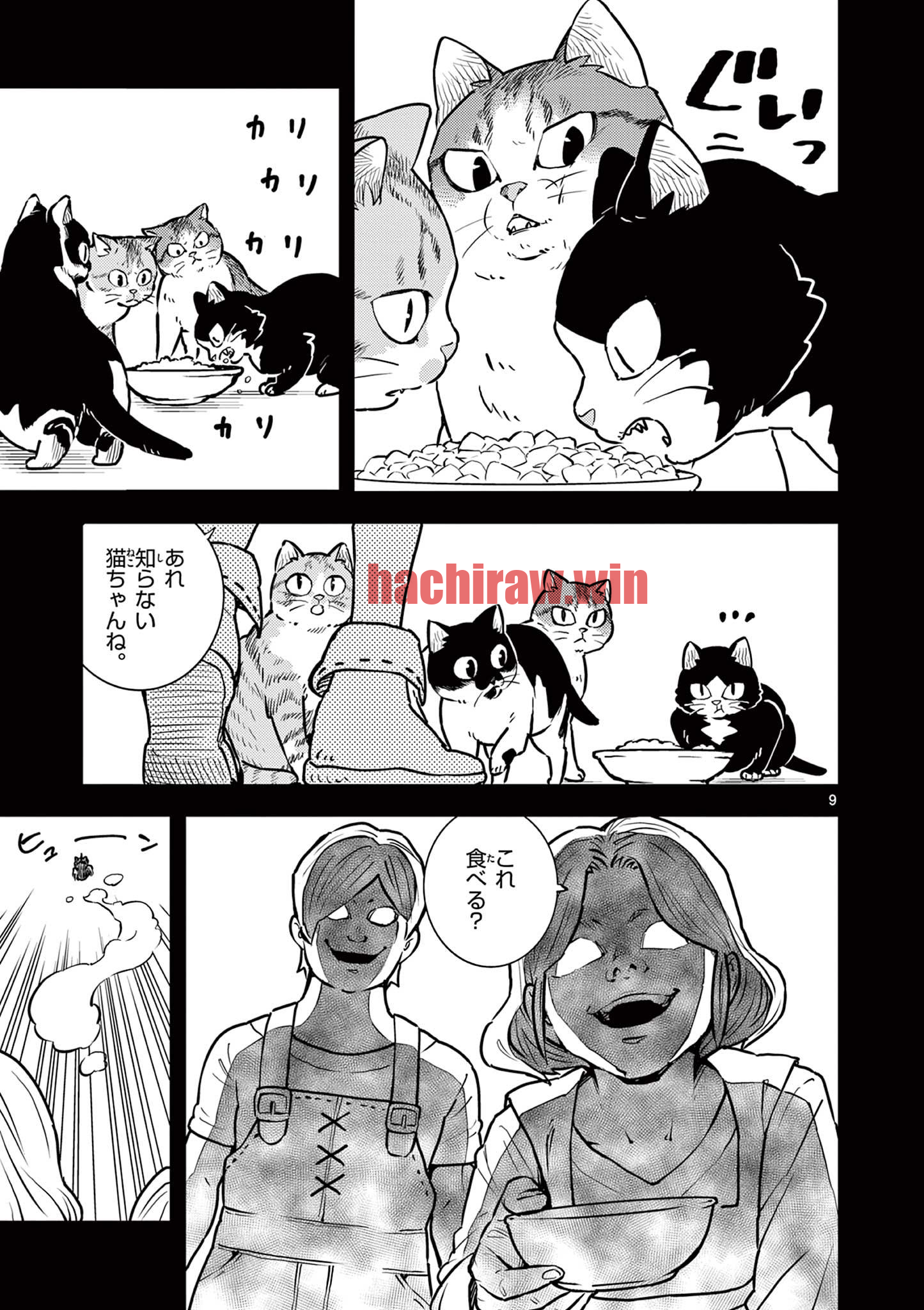 img 8