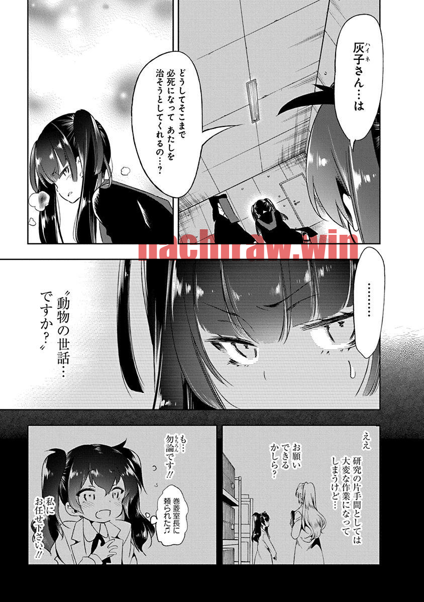 img 16