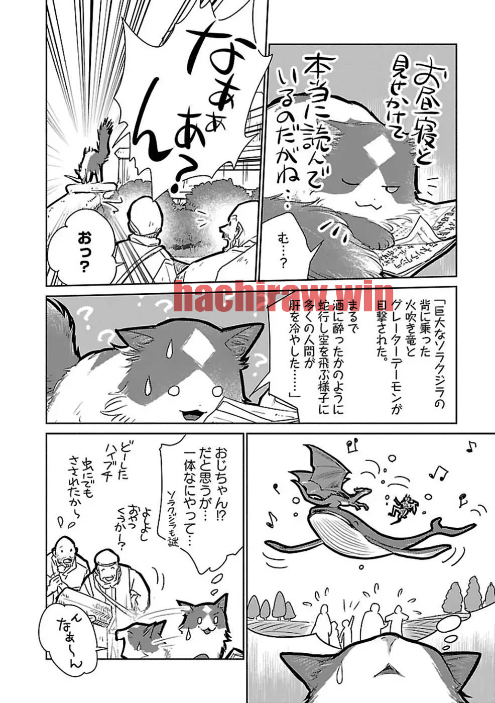 img 17