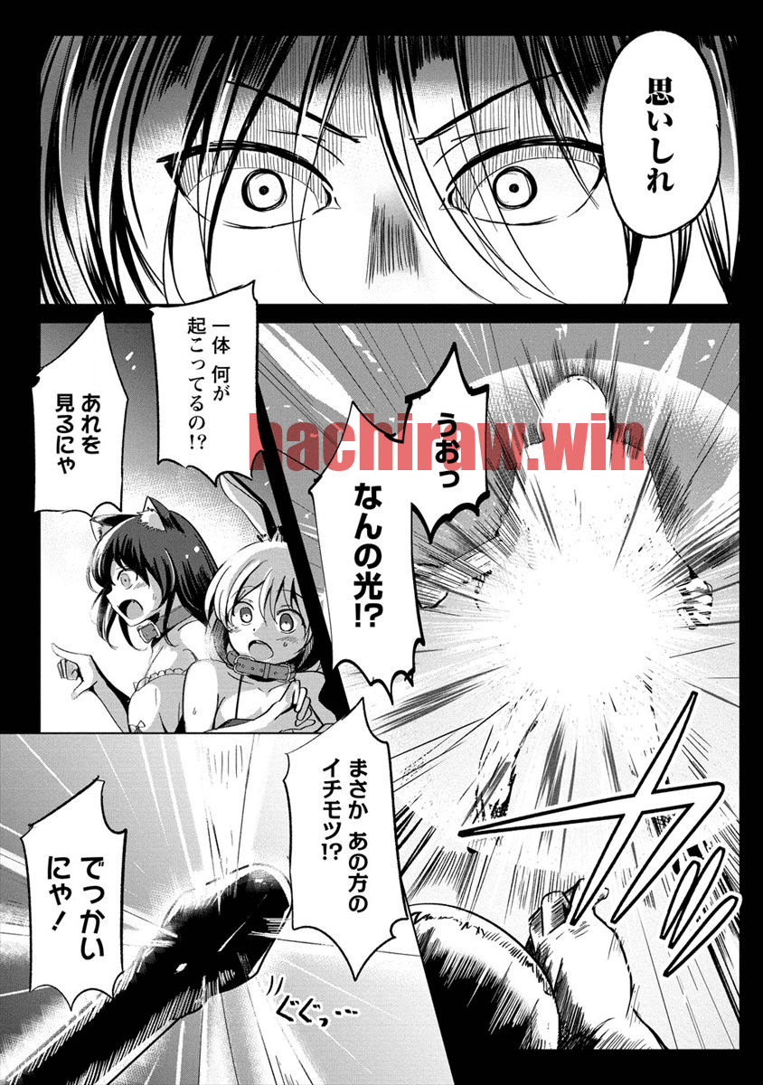 img 3