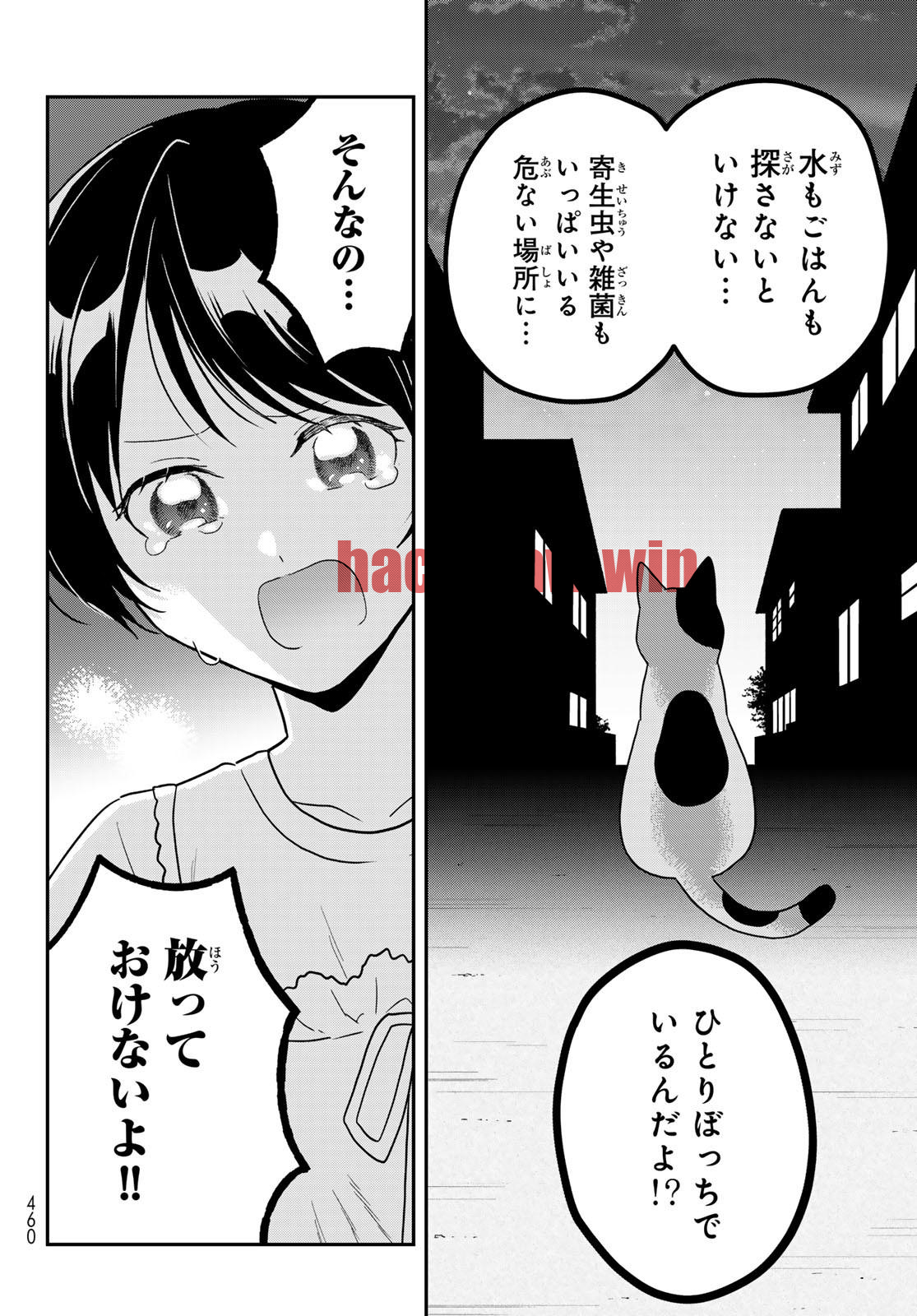 img 25