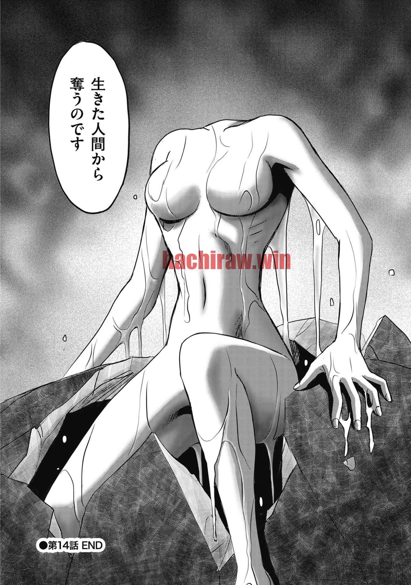 img 14