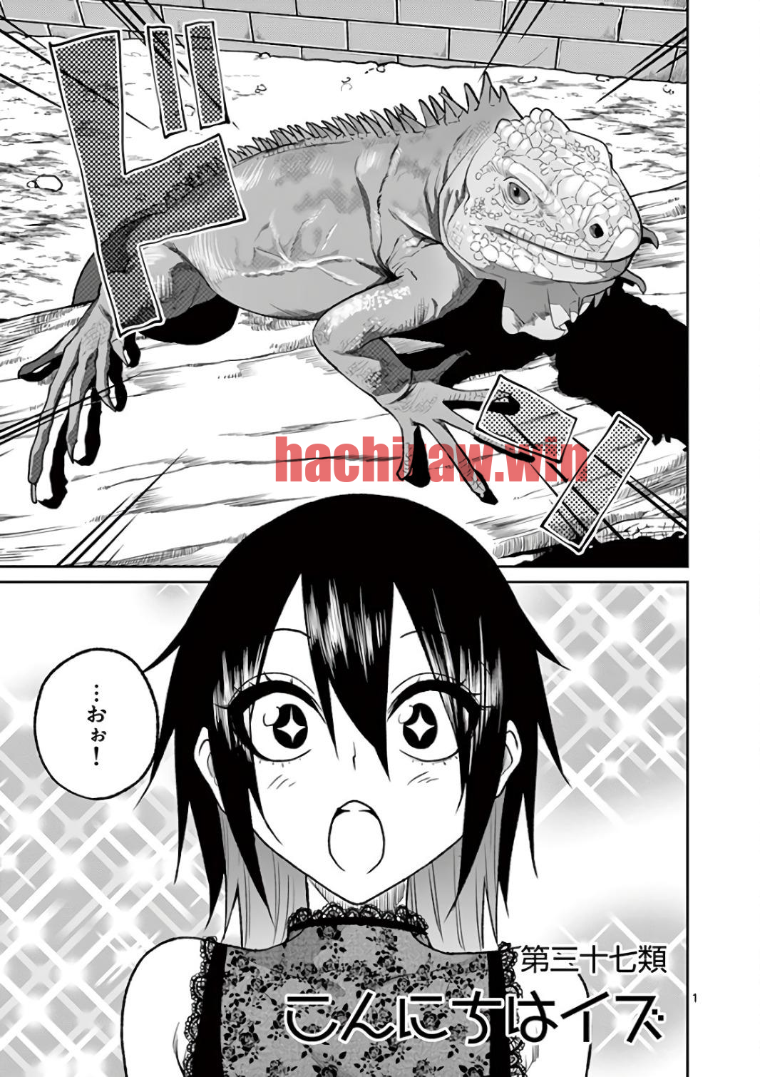 img 0